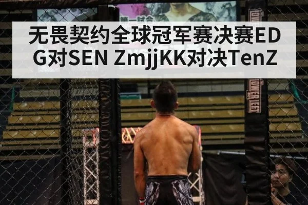 无畏契约全球冠军赛决赛EDG对SEN ZmjjKK对决TenZ